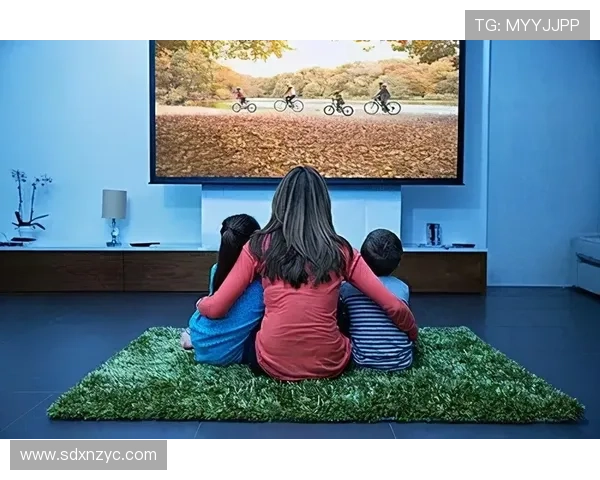 加蓬足球明星排行榜揭晓谁是球场上的璀璨之星 加蓬足球明星排行榜揭晓谁是球场上的璀璨之星