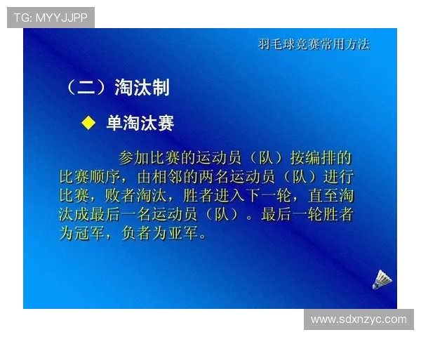 南京羽毛球队荣登羽毛球战术排行榜第二名的背后故事与分析
