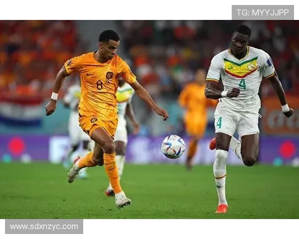 广州网球队在世界杯预选赛中以71分稳居积分榜首位展现强劲实力